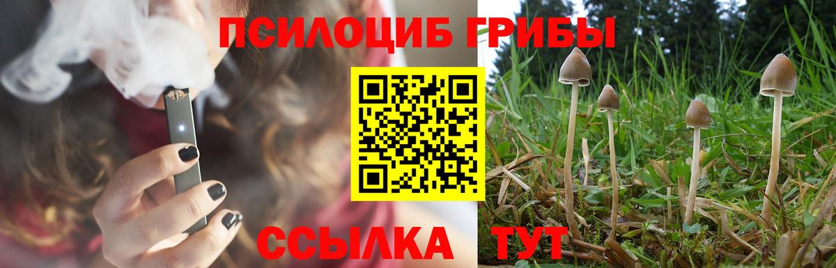 Ялта  Галлюциногенные грибы Psilocybine cubensis  Вход с VPN 